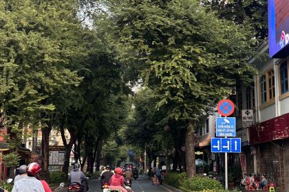 Chidori Coffee in Bed