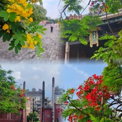 龙乡楼 User Photo