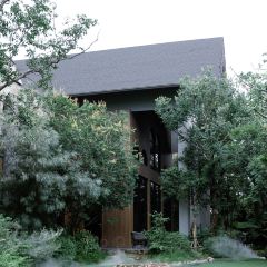 Nitan Pattaya - Coffee's Tale 여행 사진