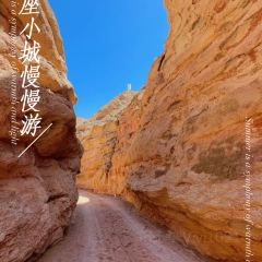 LE ZI WEI CHE ZHAN MA LA TANG XI DA JIE DIAN User Photo