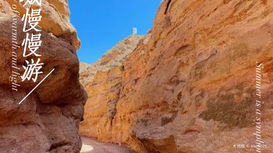 LE ZI WEI CHE ZHAN MA LA TANG XI DA JIE DIAN