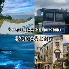 觅野仙踪·海东方VILLA海景度假美宿(舟山鹿栏晴沙店)·My forest cafe User Photo