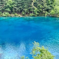 Bianbianjiecangyage Restaurant User Photo