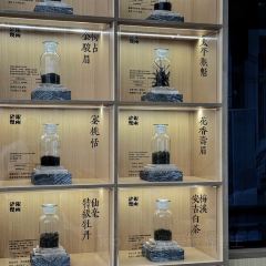 Seeing Tea User Photo