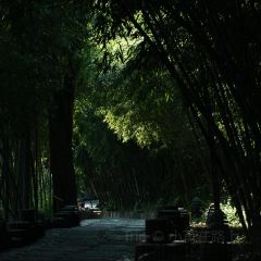 木言木语咖啡餐吧 User Photo