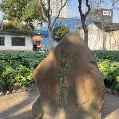 LANTINGJI·SHAOXINGCAI User Photo