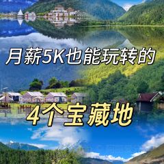 鲁朗石锅城·松茸天麻石锅鸡 User Photo