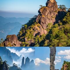 英姐小吃張用戶圖片