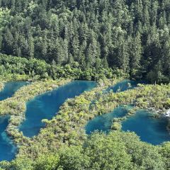 Bianbianjiecangyage Restaurant User Photo