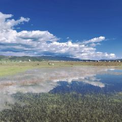 半途而沸 白塔·观景咖啡 User Photo