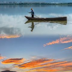 正宗会理鸡火丝(龙眼井店) User Photo