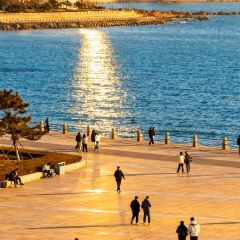 东升灌浆包(辛庄街总店) User Photo