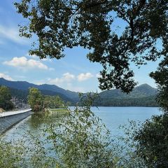 树蛙部落(仙女湖店)·餐厅 User Photo