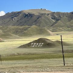 草原羊羔肉 User Photo