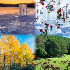 曹师傅砂锅麻辣烫 User Photo