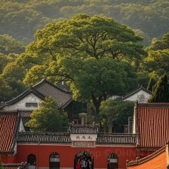 CRAYFISH KING User Photo