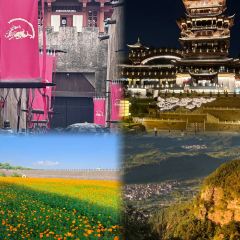 瑶氏醋炒鸡(万达店) User Photo