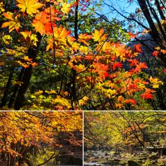 Number One User Photo