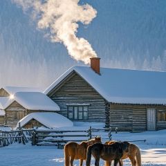 特色羊排揪片子清真張用戶圖片