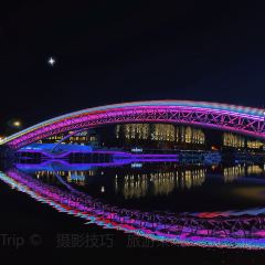 太湖船說•魚家菜（漁人碼頭店）張用戶圖片