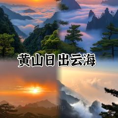 秀嫂挞粿 User Photo