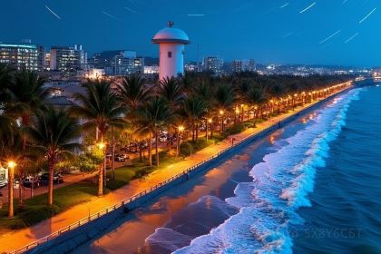 小海豚海鲜广场(清水湾店)