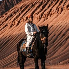 위 가문의 새끼 여행 사진