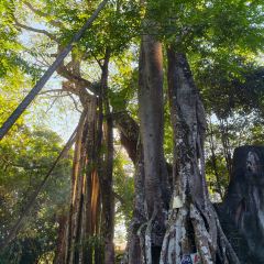 盈黎手抓饭(芒市店) User Photo