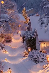 118975**** 北京遼寧大廈優惠