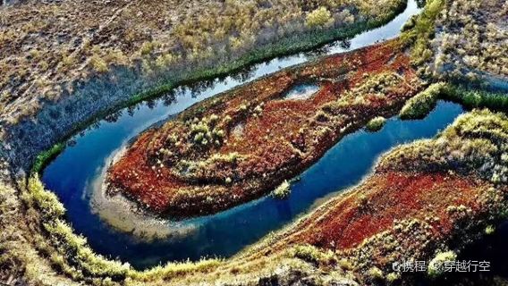 Haloxylon Forest of Ganjia Lake