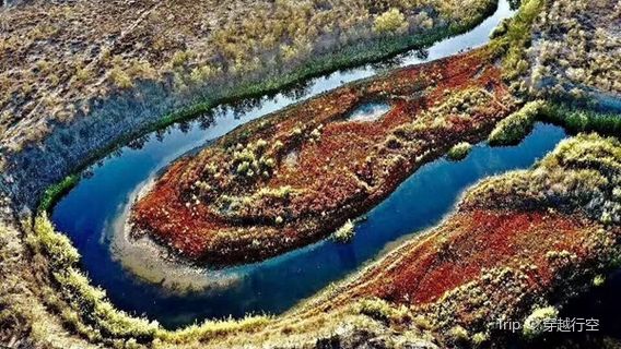 Haloxylon Forest of Ganjia Lake