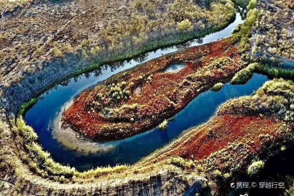 Haloxylon Forest of Ganjia Lake