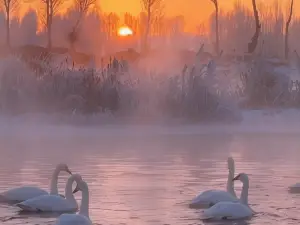 Swan Lake Ecological Tourism Scenic Area