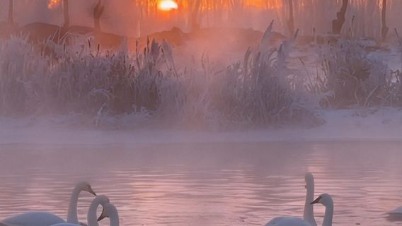 Swan Lake Ecological Tourism Scenic Area