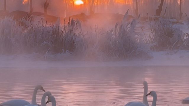 Swan Lake Ecological Tourism Scenic Area