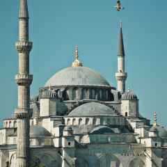 Seven Hills Restaurant User Photo