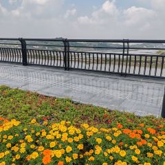 金寨饭店映山红海鲜自助餐厅 User Photo