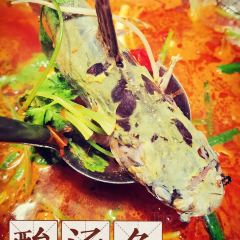 老凯里酸汤鱼(夜郎国店) User Photo