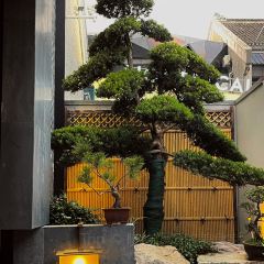 LAN TING HUI 여행 사진