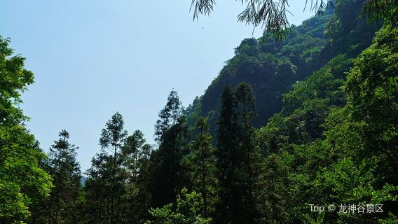 long shen gu jing qu