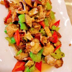 木羊缘 User Photo