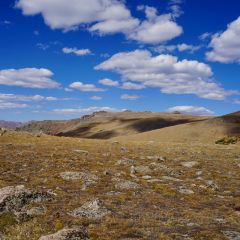 Trail Ridge Store Snack Bar User Photo