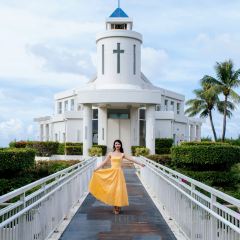 Ohas cafe (Kensington) User Photo