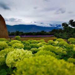 听花谷餐厅 User Photo