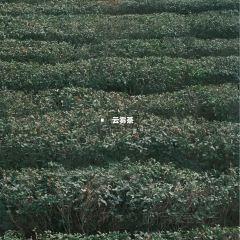 YONG CHENG HAI XIAN SHAO KAO DA PAI DANG User Photo