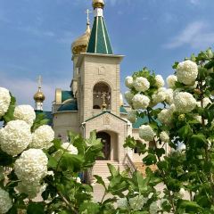 Pushkinist User Photo