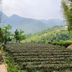 山里人家(黄尾立交桥店) User Photo