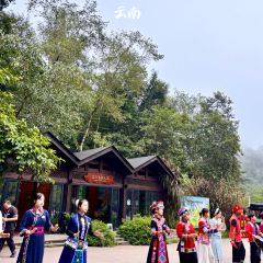 普洱小熊猫庄园·天碧餐厅 User Photo