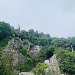 無錫魯能萬豪飯店·萬豪中餐廳張用戶圖片