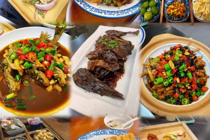 Tonglurendapaidang (yangguang)